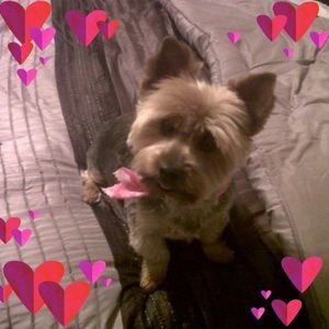 Meet your Posher, Heather